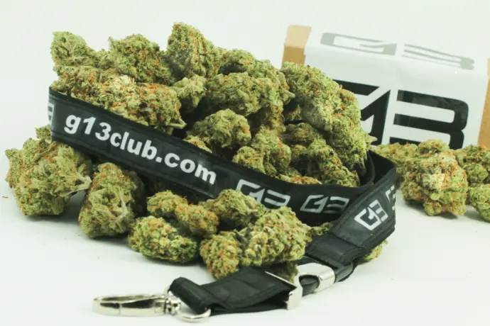 G13 Weed Club Ibiza